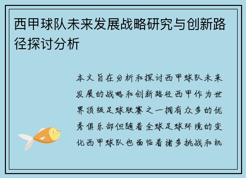 西甲球队未来发展战略研究与创新路径探讨分析