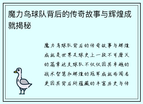 魔力鸟球队背后的传奇故事与辉煌成就揭秘 魔力鸟球队背后的传奇故事与辉煌成就揭秘