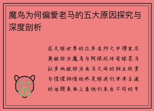 魔鸟为何偏爱老马的五大原因探究与深度剖析